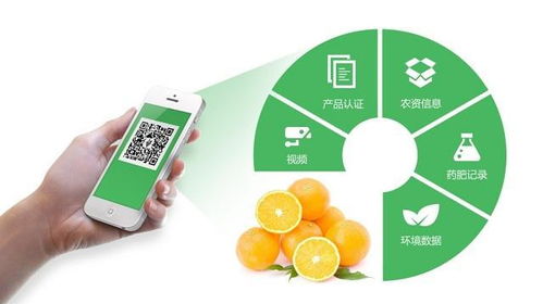 智慧农业物联网与农产品全生命周期追溯体系 构建精品农业新生态